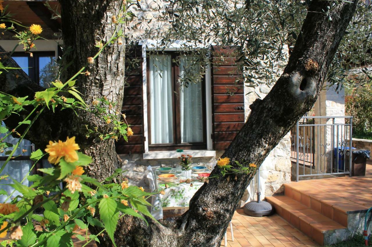 הוילה טוסקולנו מדרנו Casa Andreina מראה חיצוני תמונה